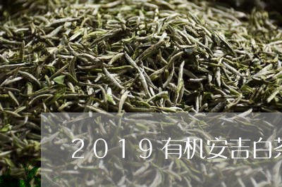 2019有机安吉白茶明前/2023033058371