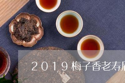 2019梅子香老寿眉白茶/2023033071412