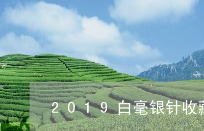 2019白毫银针收藏价值/2023033039826