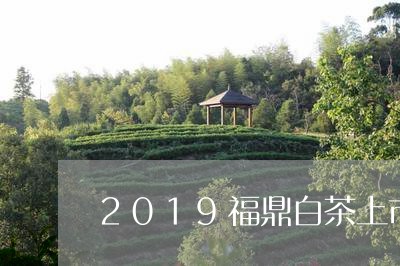 2019福鼎白茶上市时间/2023033048692