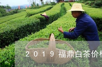 2019福鼎白茶价格预测/2023033063950