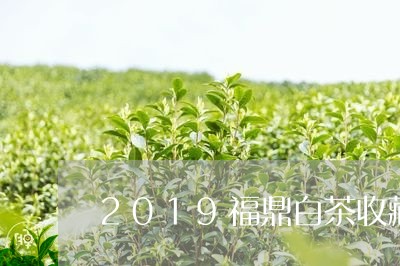 2019福鼎白茶收藏方法/2023033006179