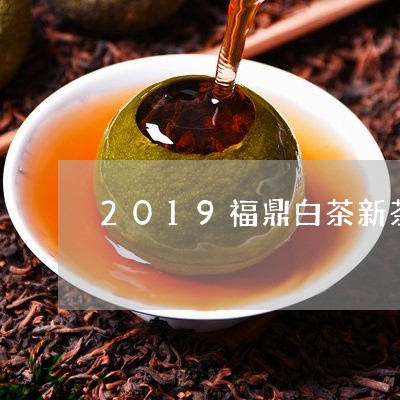 2019福鼎白茶新茶价格/2023033035278