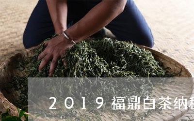 2019福鼎白茶纳税十强/2023033028582