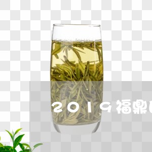 2019福鼎白茶银针价格/2023033051591