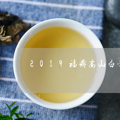 2019福鼎高山白毫银针/2023033081924