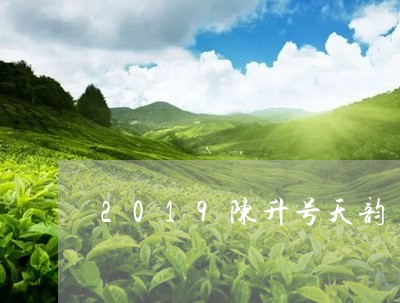 2019陈升号天韵/2023032142915