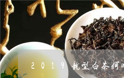 2019龙型白茶何时上市/2023033097079