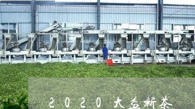 2020大益新茶/2023032651625