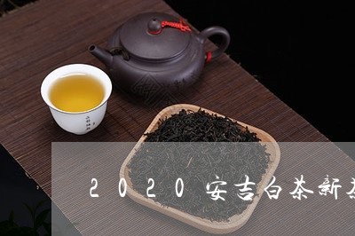 2020安吉白茶新茶上市/2023033080582