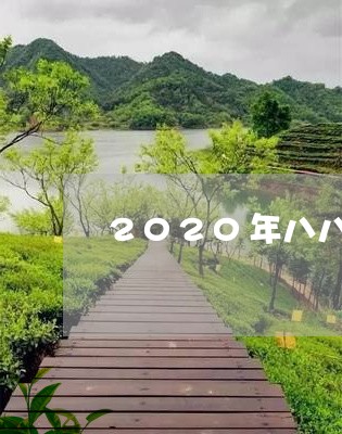 2020年八八青饼/2023032126261