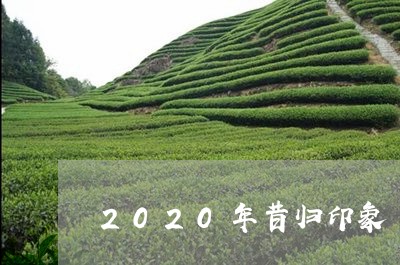 2020年昔归印象/2023041571526