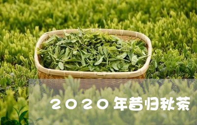 2020年昔归秋茶/2023032241615