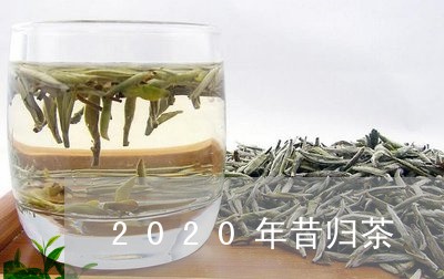 2020年昔归茶/2023032639815