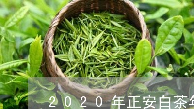 2020年正安白茶年产量/2023033075937