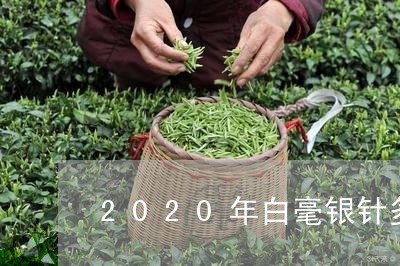 2020年白毫银针多少钱/2023033021583