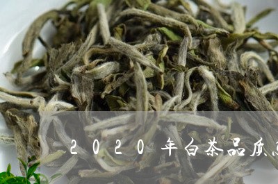 2020年白茶品质怎么样/2023033072705