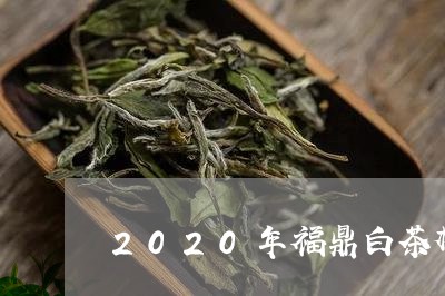 2020年福鼎白茶杯足球/2023033091783