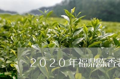 2020年福鼎陈香老白茶/2023033018362