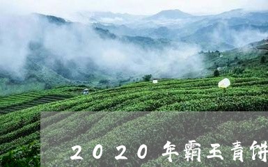 2020年霸王青饼/2023041610593