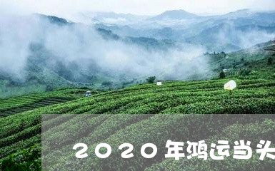 2020年鸿运当头老白茶/2023033049283