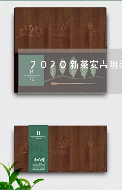 2020新茶安吉明前白茶/2023033043927