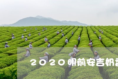 2020明前安吉奶香白茶/2023033091836