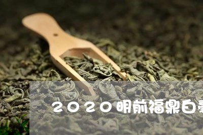 2020明前福鼎白毫银针/2023033007481