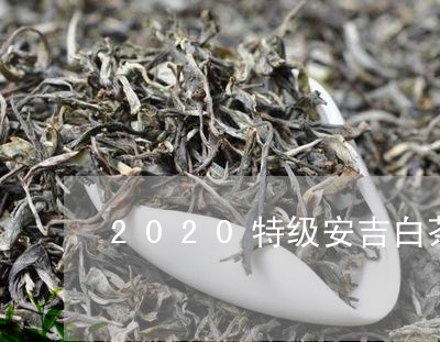 2020特级安吉白茶价格/2023033062028