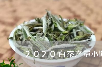 2020白茶产量小陈茶事/2023033083828