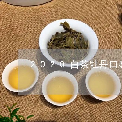 2020白茶牡丹口感如何/2023033027492