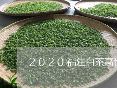 2020福建白茶高价调查/2023033009704