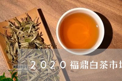 2020福鼎白茶市场分析/2023033067159