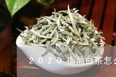 2020福鼎白茶怎么储藏/2023033045169