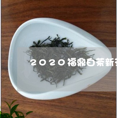 2020福鼎白茶新茶分类/2023033059414