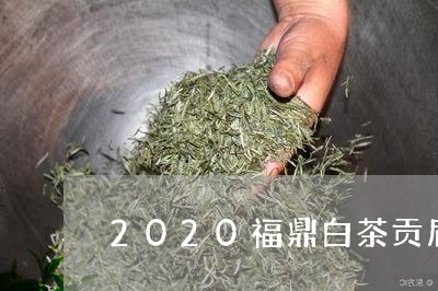 2020福鼎白茶贡眉金奖/2023033078249