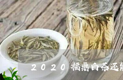 2020福鼎白茶还能涨价/2023033080794