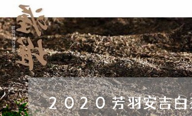 2020芳羽安吉白茶价格/2023033070502