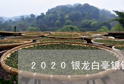 2020银龙白毫银针价格/2023033026049