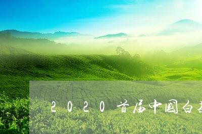 2020首届中国白茶茶王/2023033064826