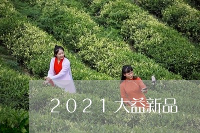 2021大益新品/2023032602804