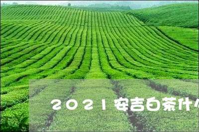 2021安吉白茶什么时候/2023033092037