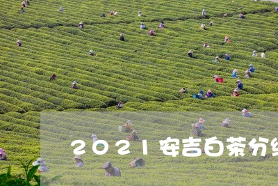 2021安吉白茶分级价格/2023033087482