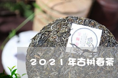 2021年古树春茶/2023032149593