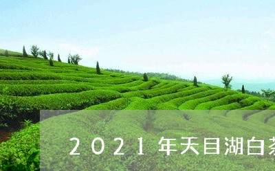 2021年天目湖白茶价格/2023033049696