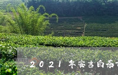 2021年安吉白茶开采节/2023033090482