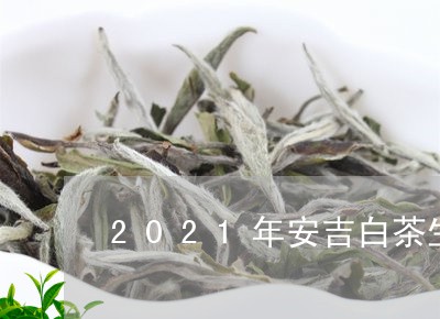 2021年安吉白茶生长记/2023033079382