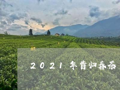 2021年昔归春茶/2023041417382