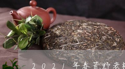 2021年春荒野老树白茶/2023033074837