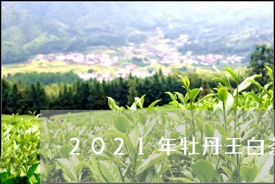 2021年牡丹王白茶价格/2023033071704